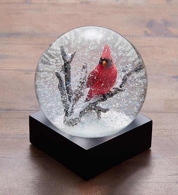 Cardinal Snow Globe by CoolSnowGlobes